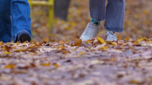 A serene walk on a leaf-covered path in during the fall season.