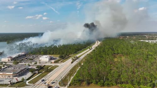Fire Department Firetrucks Extinguishing Wildfire Burning Severely in Florida Jungle Woods Emergency