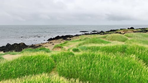 Surreal Coastal Landscape with Yellow Sand Beach and Grass Covered Hills