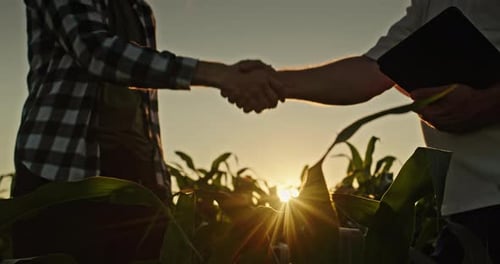Silhouetted Handshake in Golden Cornfield at Sunset