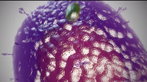 Vibrant purple and pink microscopic view of cellular structures