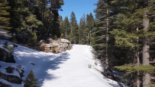 Snowy Forest Road Drone View