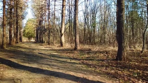 Arboretum In Luzhesno 04