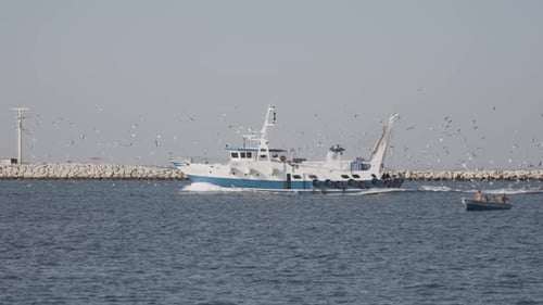 Boat Travels the Ocean Near Breakwater with Seagulls