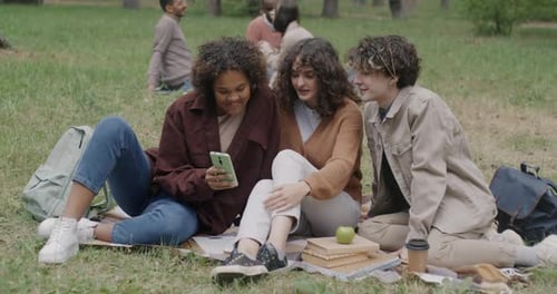 Group of Young People Using Smartphone and Talking Discussing Social Media Sitting on Lawn in Park