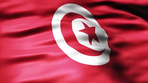 Waving Tunisian Flag Seamless Loop Animation