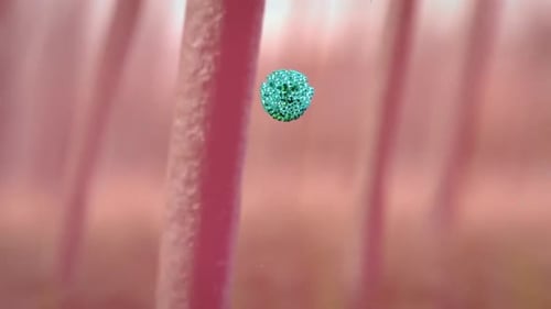 Green virus particle attacking human cells in medical illustration