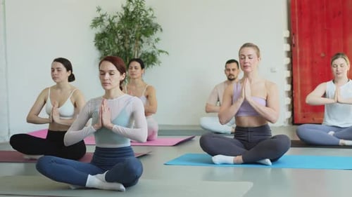 группа людей занимается йогой в студии