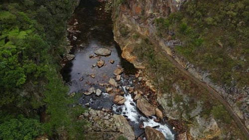 Drone Pan alonge river in Gorge New Zealand with bushland trees