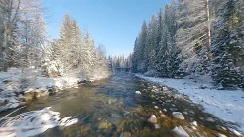 Fast Flight Along a Mountain River Surrounded By a Snowcovered Forest