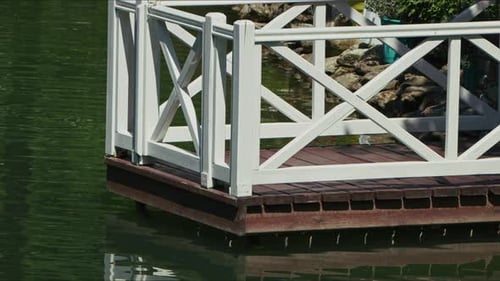 The River In Green Nature 2