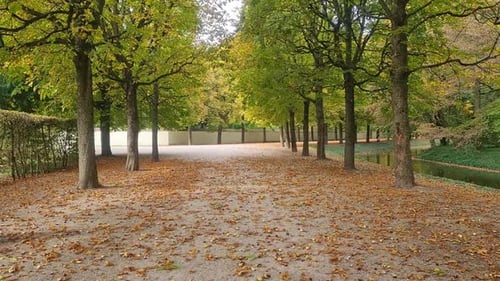 Nature Walk Path in Autumnal leaves on ground