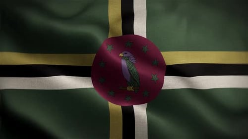 Waving Flag of Dominica with Realistic Fabric Texture