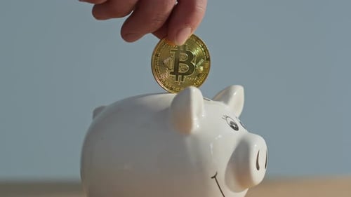 Hand Holding Bitcoin Piggy Bank Closeup Unknown Man Inserting Cryptocoin in Pig