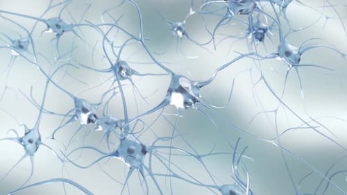 Animated Neurons Connecting in a Digital Scientific Network