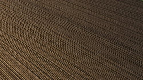 Aerial view over plowed soil lines and freshly sprouted green wheat plot.