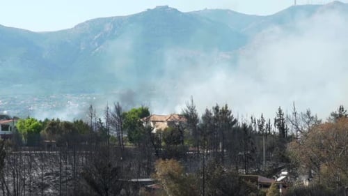 Zoom out reveal shot of catastrophic results of big forest fire at Parnitha mountain, Greece, Slow m