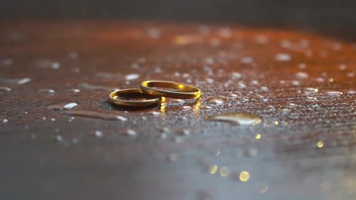 Close Up of Two Wedding Rings on Wet Surface