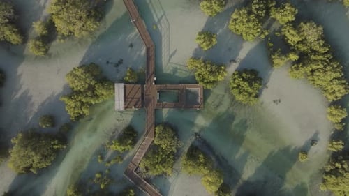 Aerial view of Jubail Mangrove Park, Abu Dhabi, United Arab Emirates.