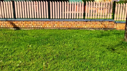 Bright Wooden Fence With Green Lawn in Front of Brick Wall on Sunny Day