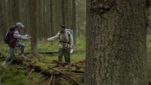 Travelers with Hiking Equipment Exploring Forest Paths