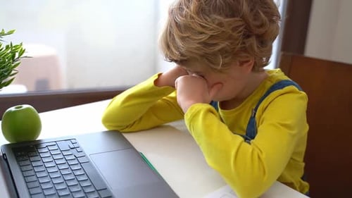 Bored Schoolboy Child Using Laptop Online Educational Lesson Course at Home
