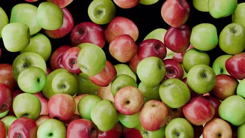 Apples Falling Transition