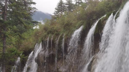 Multiple streams of water cascade over a mossy cliffside surrounded by dense forest, with mist and s