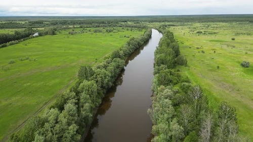 Summer Landscape in the Middle Strip of Russia Along the Narrow River Grow Trees Around the Green