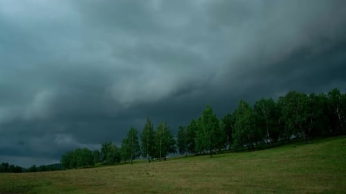 Dark Stormy Clouds Flying Over Forest on a Hillside