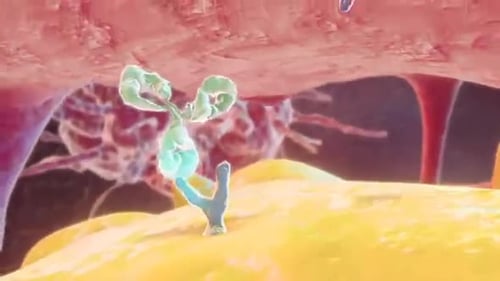 Microscopic view of bacteria and cells in human body