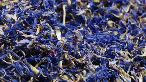 Close Up of Dried Blue and White Flower Petals