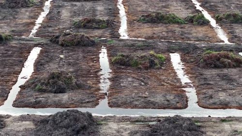 A field with a lot of tree debries, mud and water