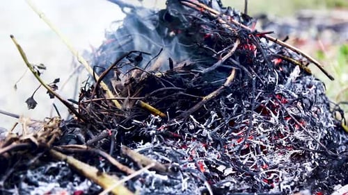 Black fire ash