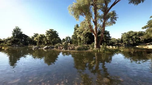 Clear Water River Landscape with Green Trees and Reflections
