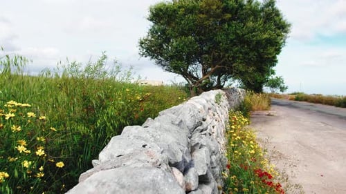 Drywall with Stones Assembled Without Binders