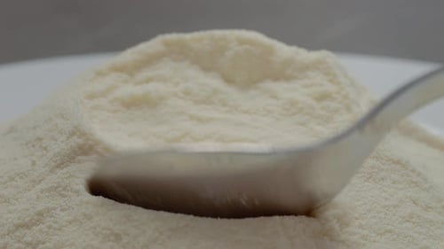 Spoon fills with powdered milk in close-up view showing texture and detail