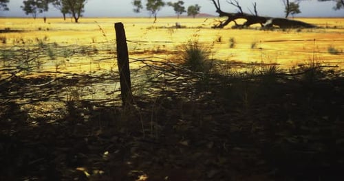 Photogenic Landscape with Barbed Wire Fence at Dusk in Remote Area