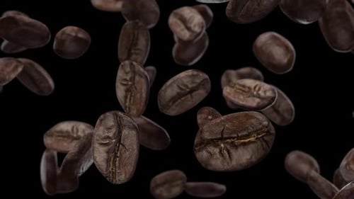 Falling Coffee Beans Seamless Loop Animation