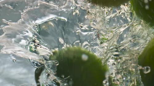 Limes Dropping in Water Creating Bubbles and Splash