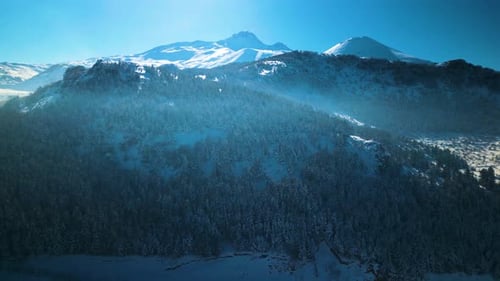 Snowy Mountains and Evergreen Trees Aerial Landscape