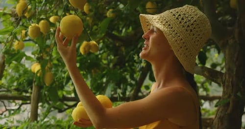 Woman Smiling While Picking Lemons in Shaded Grove on Amalfi Coast in Summer Day