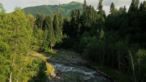 Aerial View of Mountain River in Forest Landscape