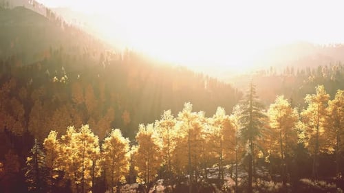 Sunlight Filtering Through the Majestic Mountain Landscape