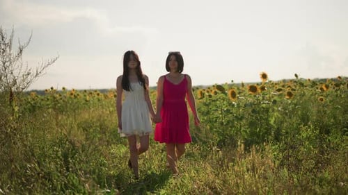 Smiling Women Holding Hands Outdoors Sunflower Field Scene with Joyful Women Engaging Two Women