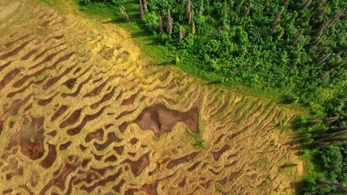 Alaska stunning natural patterns. Vibrant topography in Alaska features colorful textures