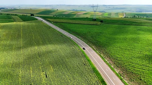 Road winding through lush green fields. Vehicles travel along a curved road surrounded