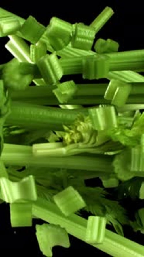 Fresh Celery Soars Up on a Black Background Filmed on a Highspeed Camera at 1000 Fps