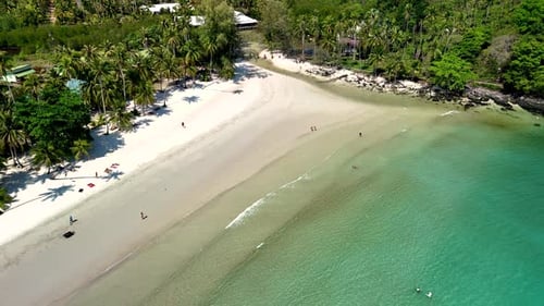 Discover Pristine Koh Kood Beach with Crystal Clear Waters and Lush Palm Trees