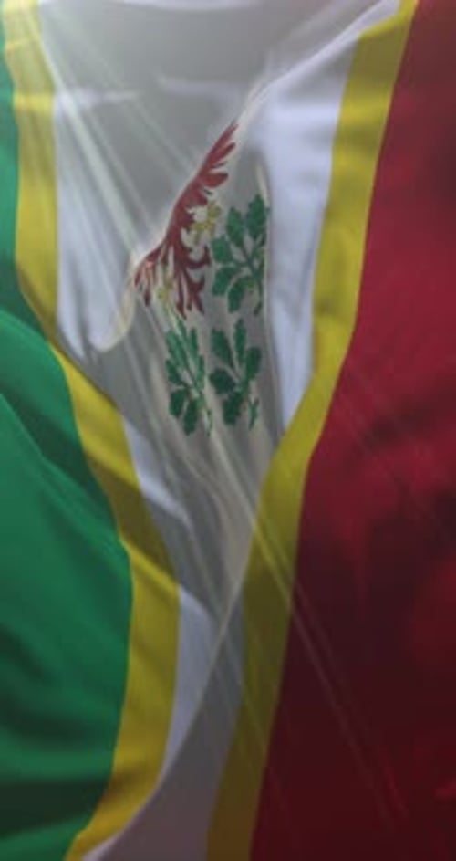 Realistic Waving Vertical Flag with Emblem and Gold Stripes